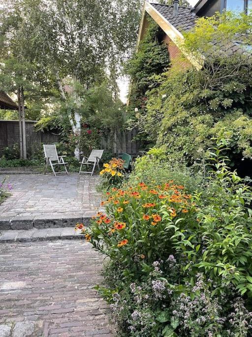 Heerlijke Boerderij Bij Veluwezoom In Het Oude ديرين المظهر الخارجي الصورة
